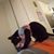 Wendy L. Pope's profile image