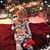 Marissa Felci Pasquarello's profile image