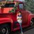 Rohini Badlani Thakker's profile image