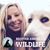Stacy Paruch's profile image