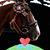 Deb Sadr Binder's profile image