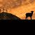 Rhonda Scott Harris's profile image