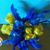 Sharon Rubenstein's profile image