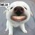 Rivera Carlos's profile image