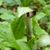 Gwen McCallum Bennett's profile image