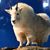 Mike Vogel's profile image