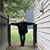 Rochelle Udell's profile image