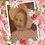 Helen Jackson's profile image