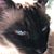 Paulette Narkon's profile image