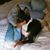 Debbie Beltz's profile image