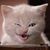 Kathy Anderson's profile image