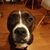 Maria Keppel's profile image