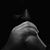 Andy El Capitan Velez's profile image