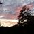 Sue Barringer's profile image