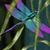 Michele Smith's profile image