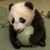 Hyong Lim's profile image