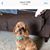 Rita Schrade's profile image