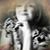 Edie Hodges Lloyd's profile image