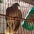 Teresita Rojas's profile image