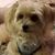 Donna Drury's profile image