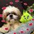 Amy Kovach Berrios's profile image