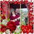 Tammy L. Chastain's profile image
