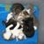 Sondra Curry Weidman's profile image
