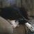 Beverly Winchell's profile image