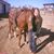 Kayla Renee White's profile image