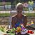 Rosemary Steffen's profile image