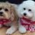 Loretta Tikalsky's profile image