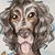 Stevie Clarke's profile image