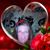 Shannon Ethington's profile image