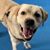 Cathy Marvin's profile image
