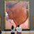 Carl Frink's profile image