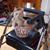 Janette Steger-Snell's profile image