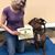 Janet Seland Chianese's profile image