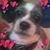 Carol Yancey's profile image