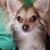 JoAnn DeWitt's profile image