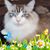 Diane Fly's profile image