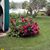 Donna J Svoboda's profile image