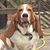 Dan Moyer's profile image