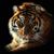 Cheri L Connell's profile image