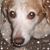 Shelley Finley's profile image
