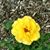 Scott Fisher's profile image