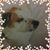 Paisley Newman's profile image