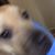 Terree Rogers's profile image