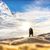 Carol Cooney's profile image