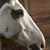 Terri Hichborn's profile image