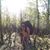 Eric Wakeley's profile image